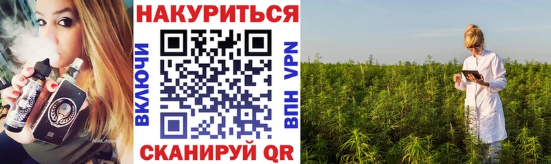 Купить где  Кисловодск  Бошки марихуана OG Kush 